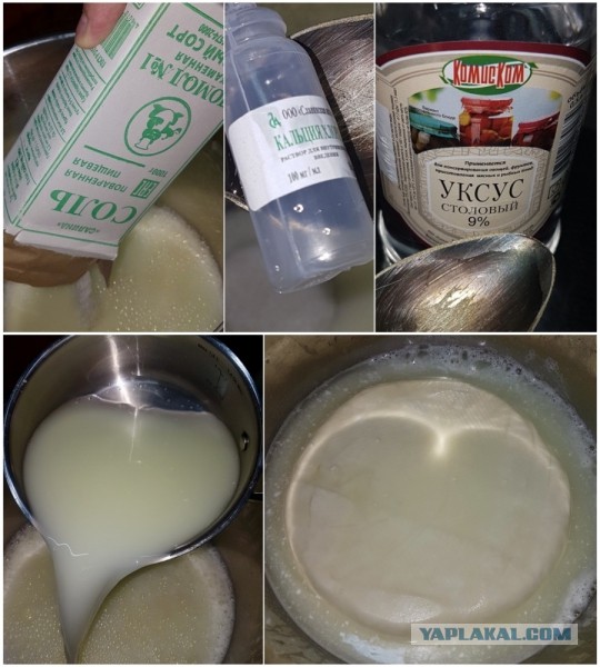 Сыр Маасдам