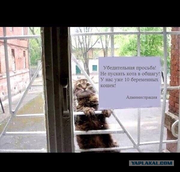 Новый конкурс "СлонотЯП"