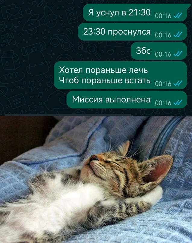 Весёлый полтишок 16.04.23