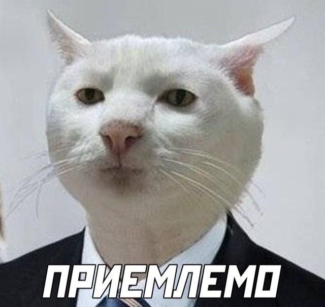 Освобождение детской площадки
