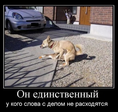 Так вот ты какой, вредитель огородный