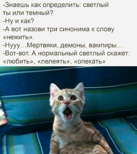 Весёлый полтишок 01.10.23