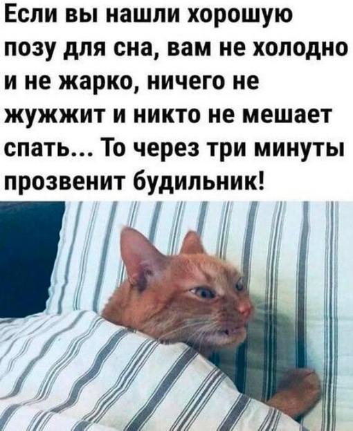 Всего понемногу. От 18.12.23