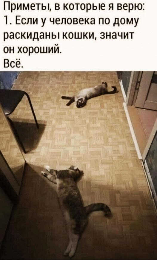 Всего понемногу. От 25.02.24