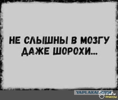 Завалялось тут случайно немного забавных картинок