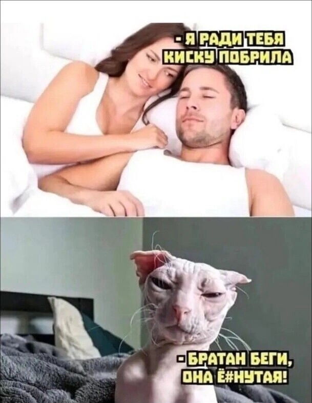 Завалялось тут случайно немного забавных картинок