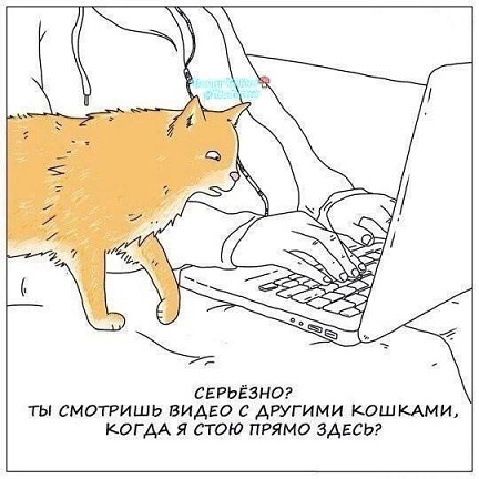 Обычные дома в Рязани