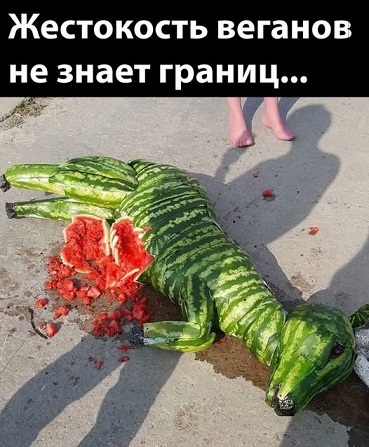 Хорошо, когда отдохнул на природе