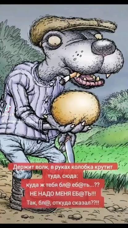 Черепаха в домике
