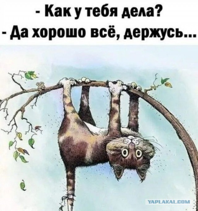 Так себе картинки 16.10.25