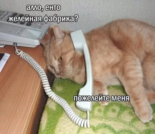 Так себе картинки 06.11.25