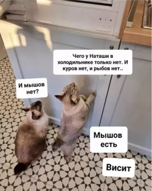 Картиночки, баянчики 02 апреля