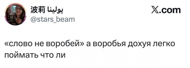 Потная гамсахурдия №5 (Картинки)