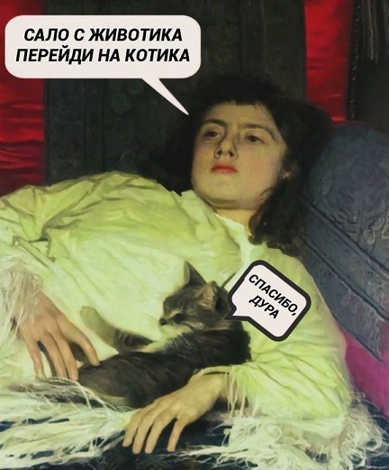 К котовторнику: подборка картинок-баянов с котиками и про котиков. Выпуск 42.