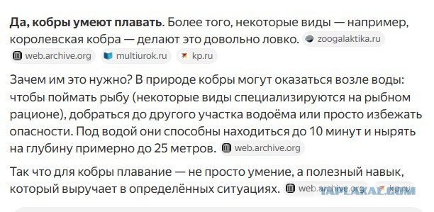 В Китае после наводнения сбежала тысяча змей, включая кобр