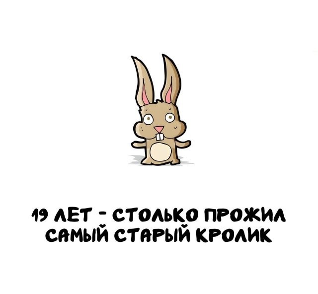 Интересные и короткие факты, на все случаи жизни