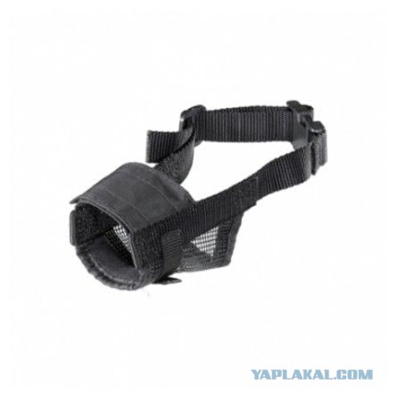 Они не кусаются...