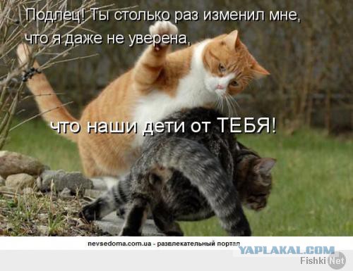 Картинки на Воскресенье, ассорти.