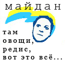 На Майдане посадили огород и строят свинарник.