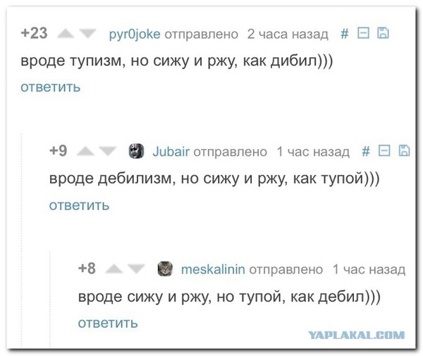 Комментарии из Сети