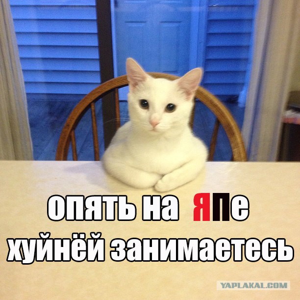 Когда вы минусити заминусованного 2.