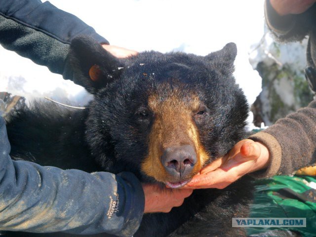 У меня есть минусы