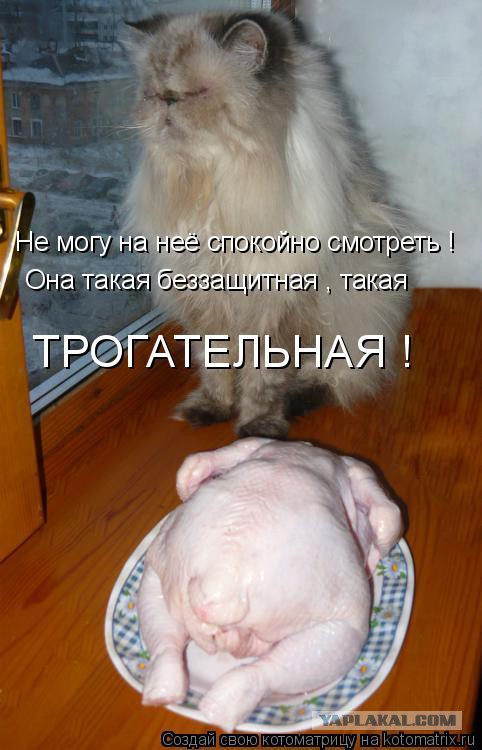 Вынужденное знакомство