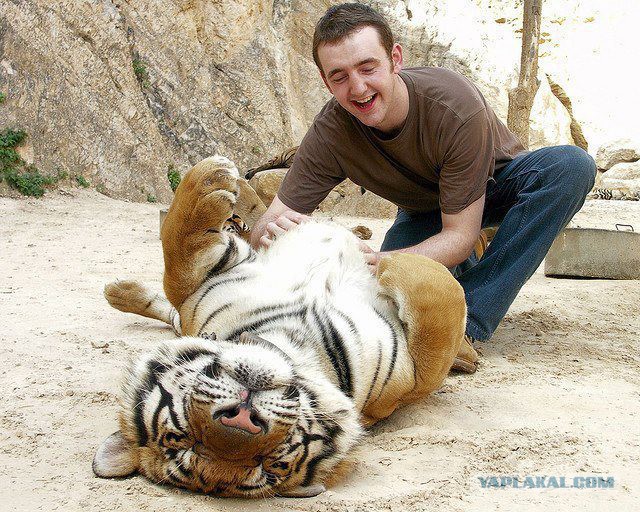 Про эти дни