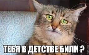 Народный командир ополченцев  П. Дремов