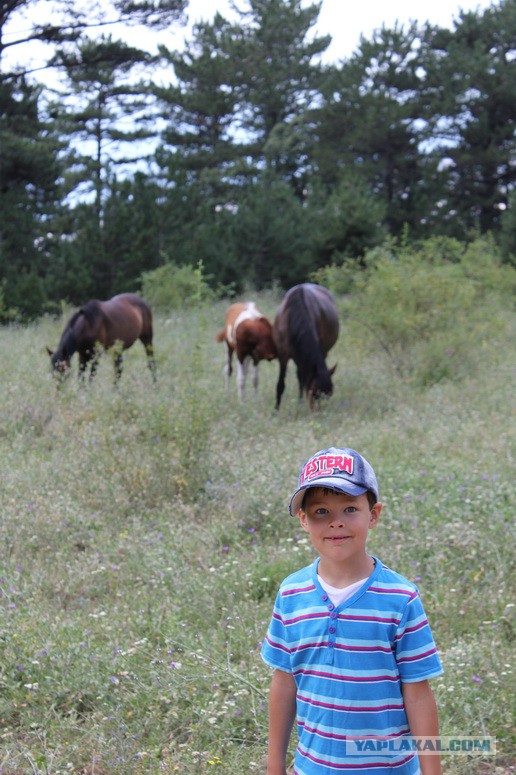 Дорога из Киева и из Москвы в Ялту.