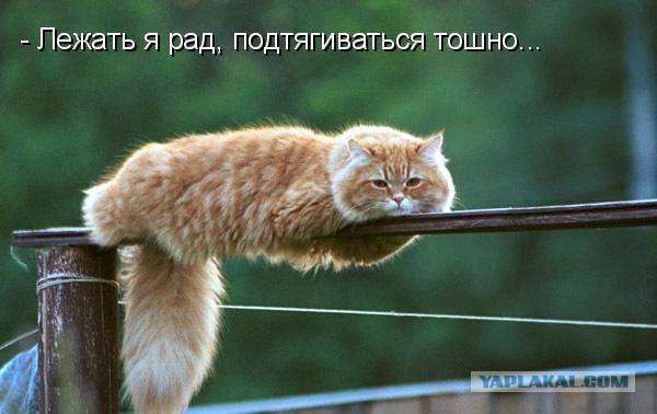Добряки, плюсующие всех подряд