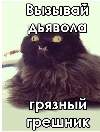 Я ведь красивая, да?