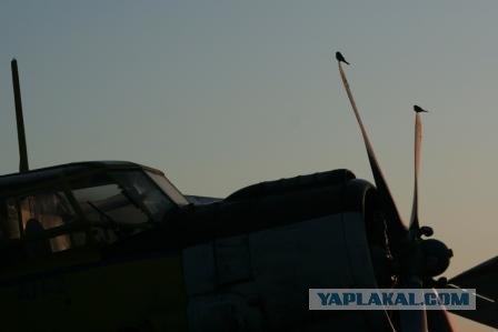 Полёт из Владивостока в Кавалерово и Пластун