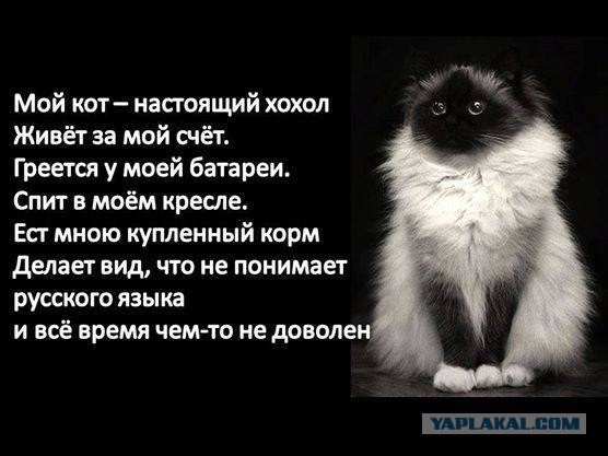 Картинки из сети на вторую часть пятницы