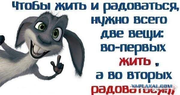 Подборка картинок