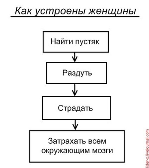 Как устроено все на свете