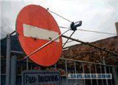 Люблю клинически мёртвых