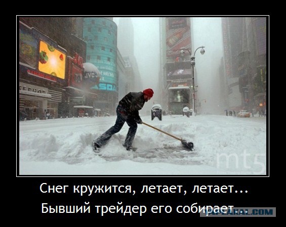 Форекс обзвон.