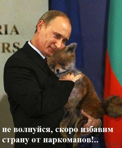 Завязываю бухать!