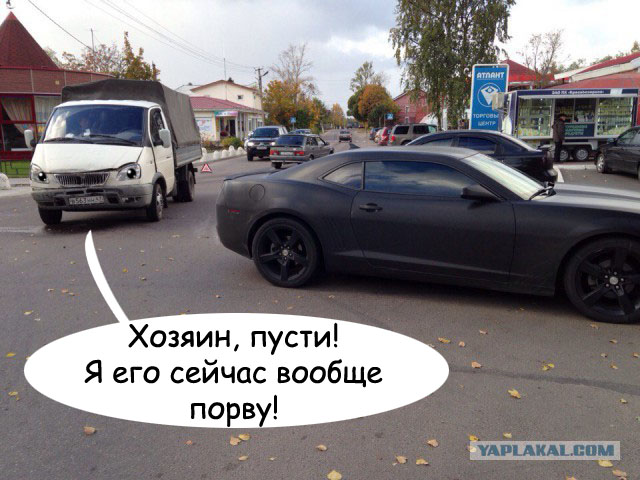 Жаль мужиков. Газель виновата