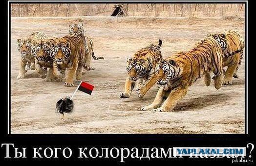 10 политических картинок часть 14