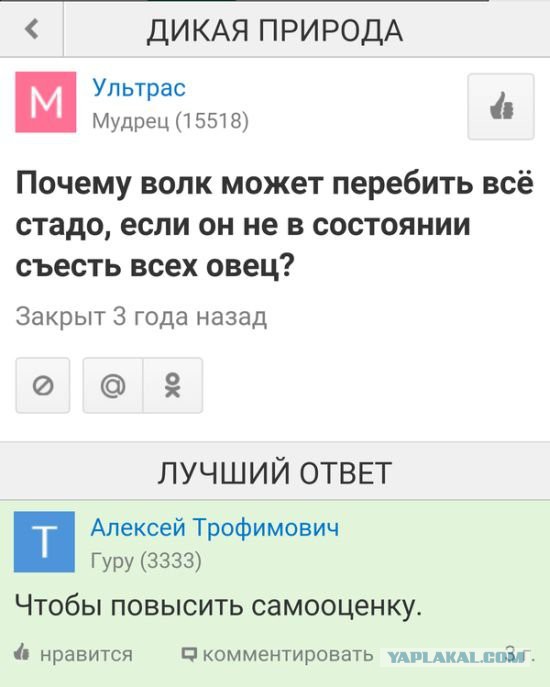 картинки на выходные