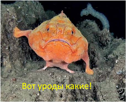 Жулики из автосалона