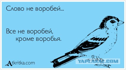 Саакашвили ляпнул, не подумав...