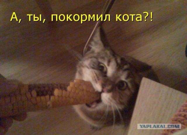 Как правильно давить слезу