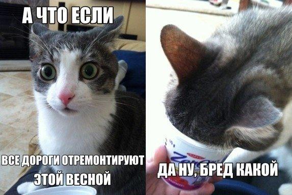 Свежая, утренняя, подборка картинок.
