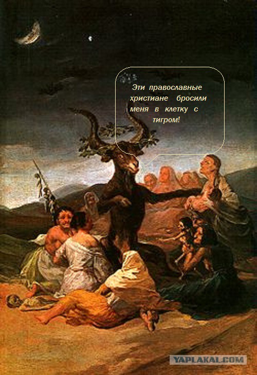 Задержан Тимур, выложивший голую студентку в Интернет