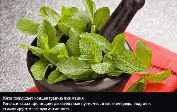 Подборка "тёплых уютных домашних" фотографий, часть 6