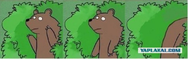 Приятные барышни из соцсетей