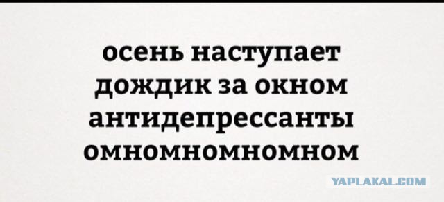 Норвегия начала строить забор на границе с Россией